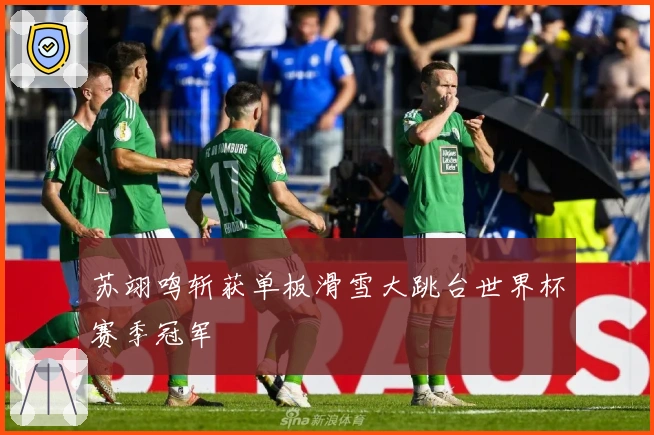 苏翊鸣斩获单板滑雪大跳台世界杯赛季冠军