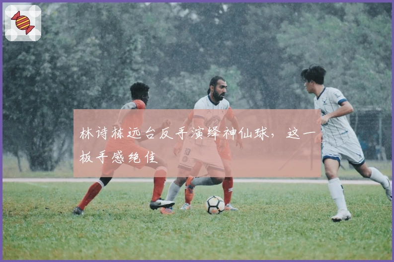 林诗栋远台反手演绎神仙球，这一板手感绝佳