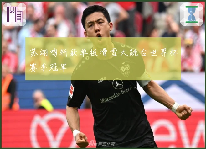 苏翊鸣斩获单板滑雪大跳台世界杯赛季冠军