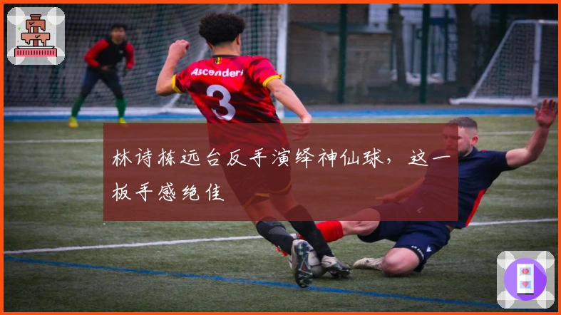 林诗栋远台反手演绎神仙球，这一板手感绝佳