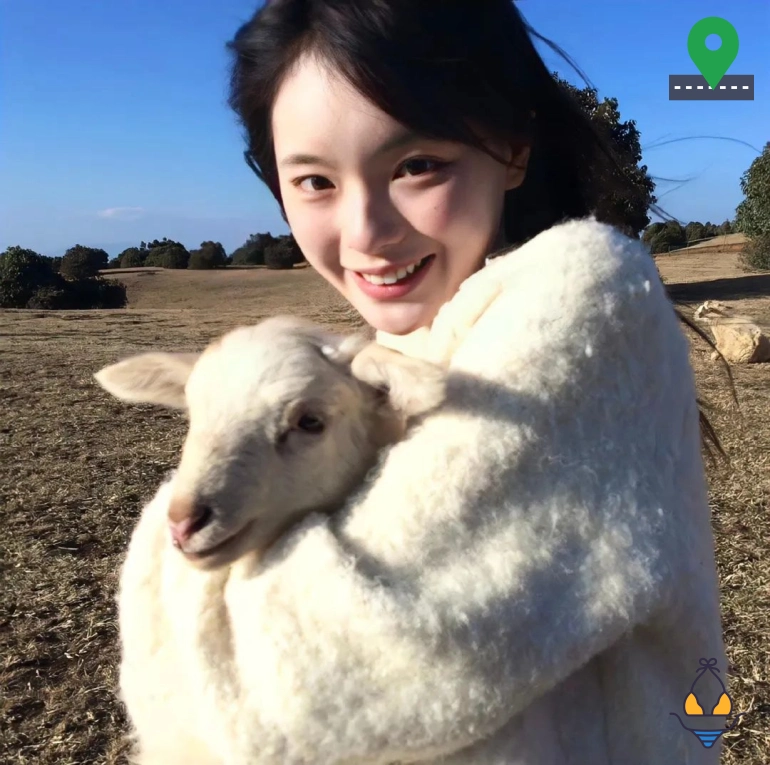 艾弗森答案粉（浙江省）